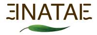 nataé logo nataé logo