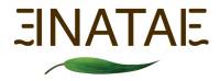 nataé logo